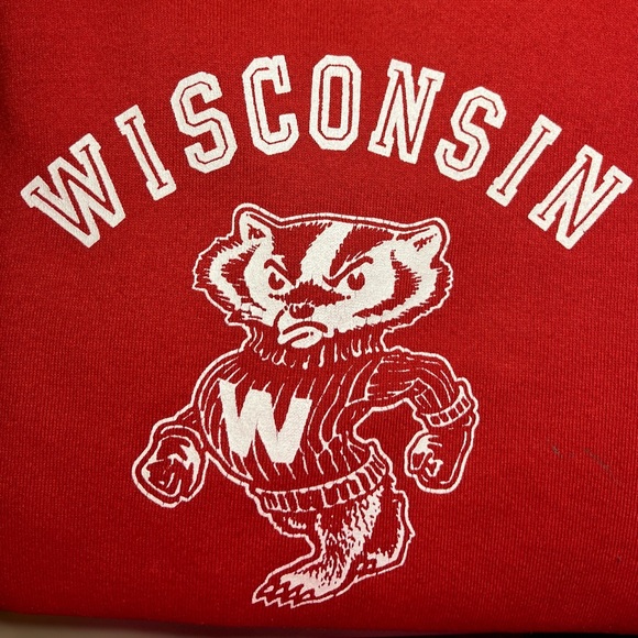 Vintage Sweaters - ⚠️ LAST CALL Early 80s University of Wisconsin Badger Sweater